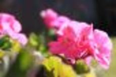 Profile picture for user yeepai